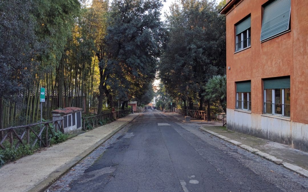 Trasferimento degli alunni di Strohl Fern 26-28 giugno
