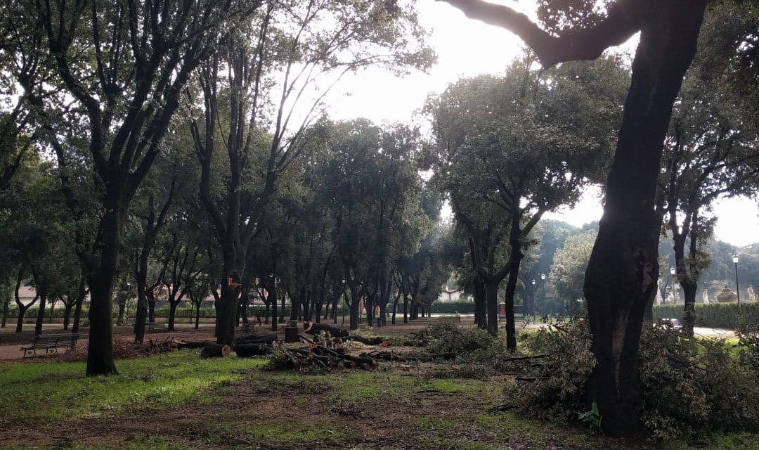 Maltempo e parco