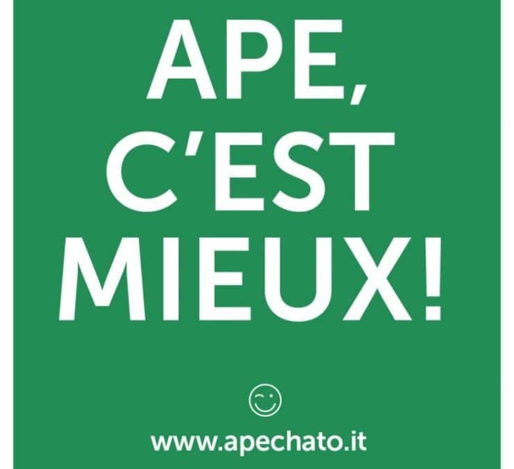 ELECTIONS DU 9 AU 13 OCTOBRE !!!